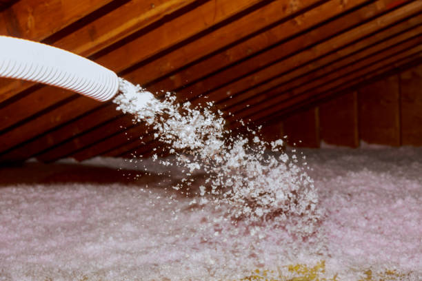 Insulation Replacement Services in Bolivar, TN